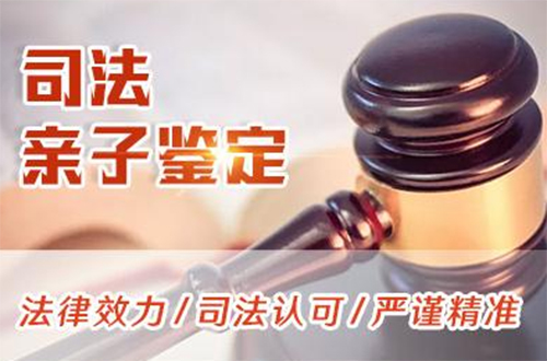 苏州司法亲子鉴定如何办理,苏州司法亲子鉴定收费标准